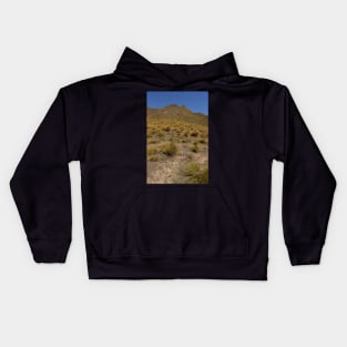 Barren Lindis Pass Kids Hoodie